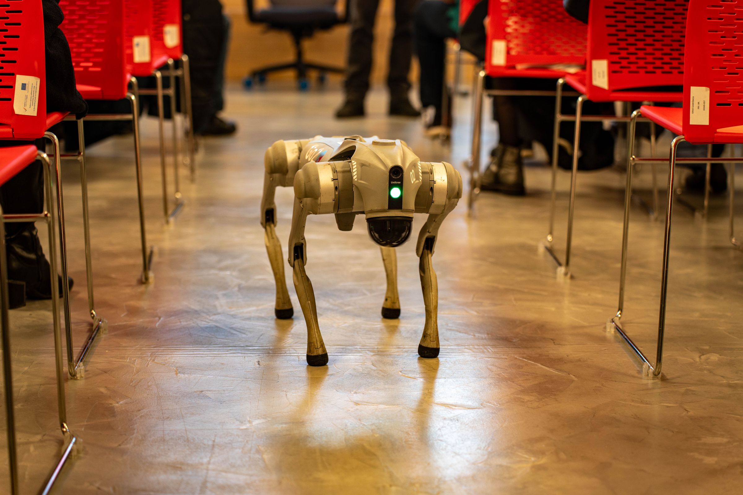 A four-legged robot standing on a polished floor in a corridor lined with chairs.