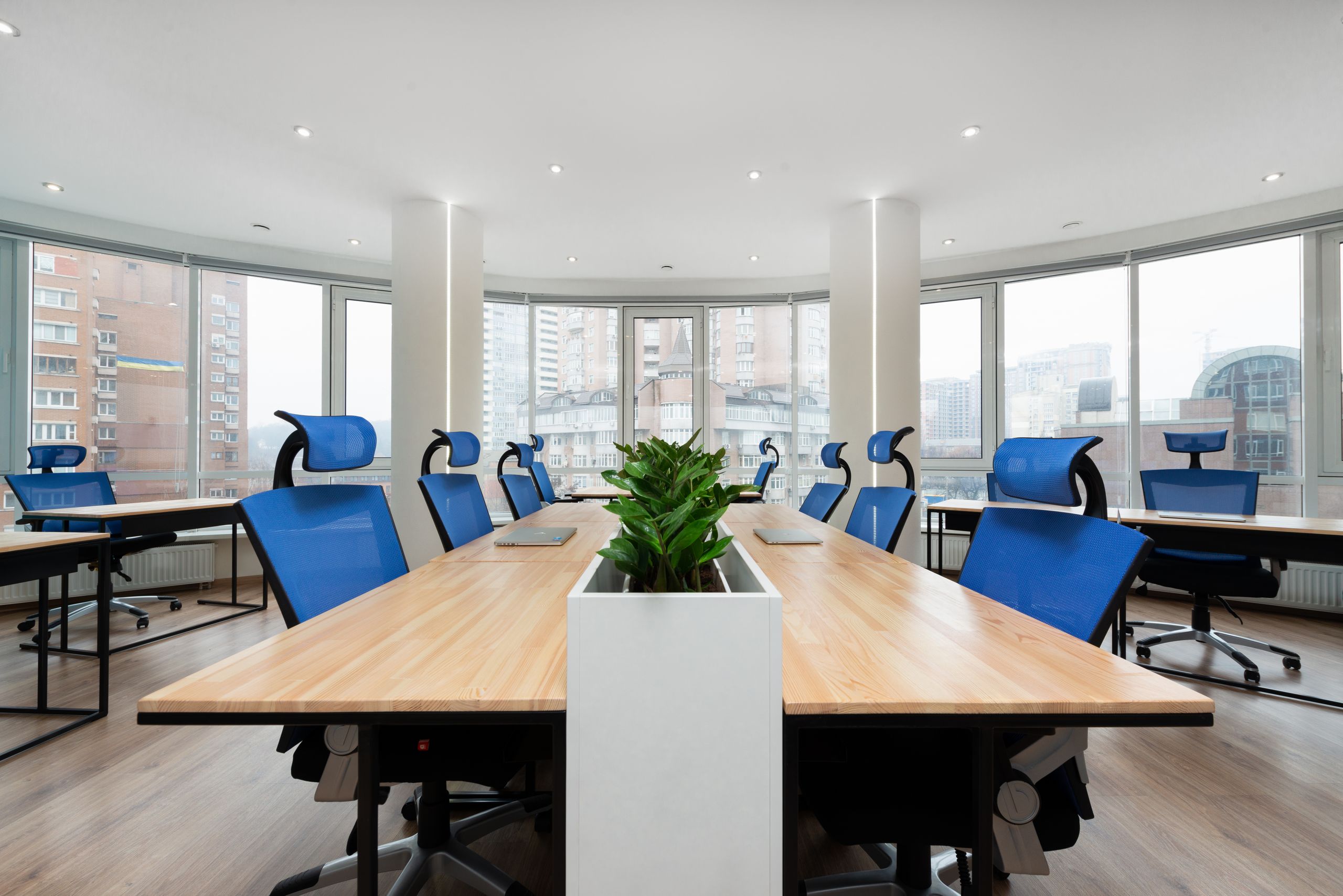An empty meeting room with a long wooden table, blue chairs and a plant, with windows on three sides looking out over the city.