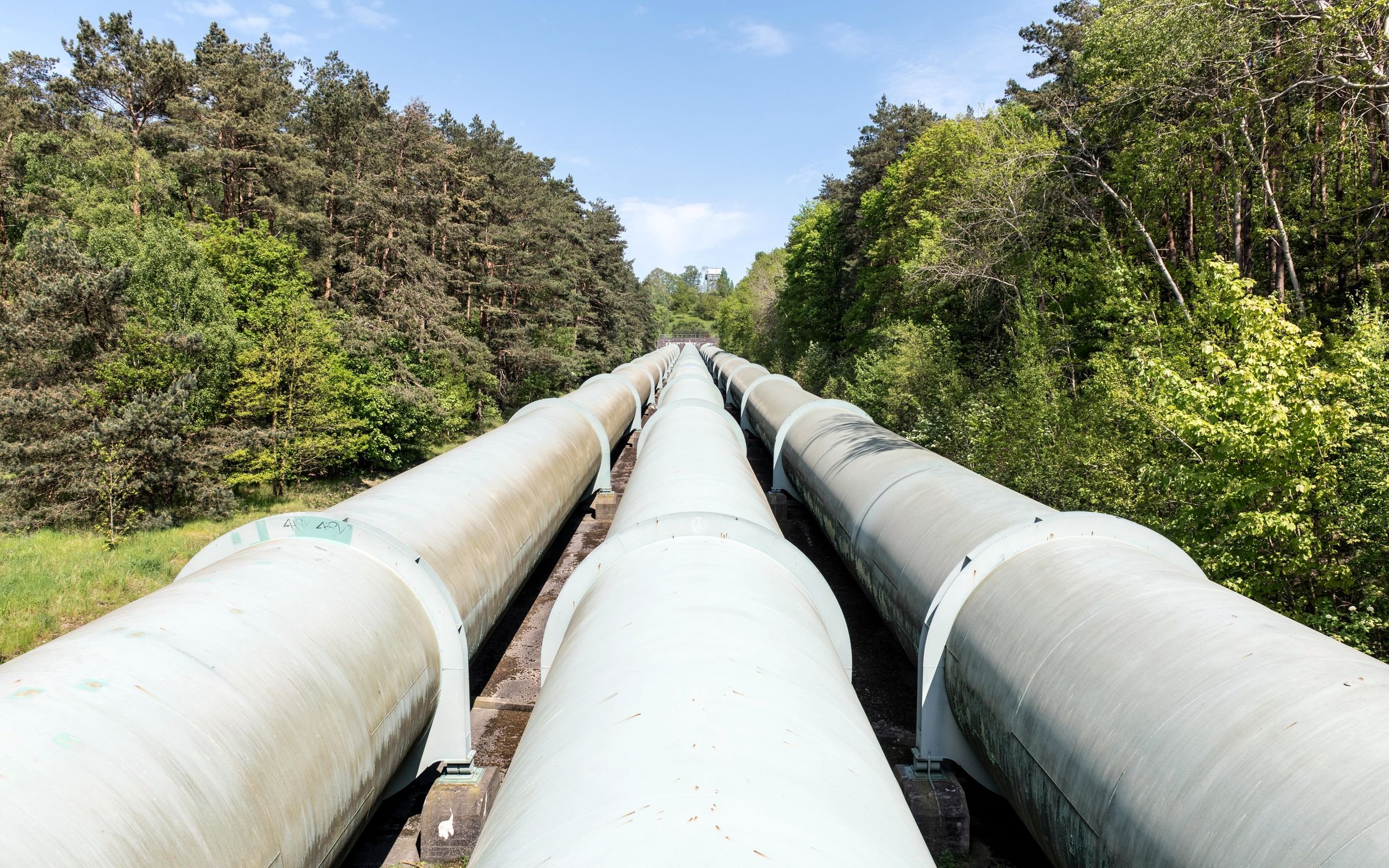 Two large pipelines running in parallel through a forest