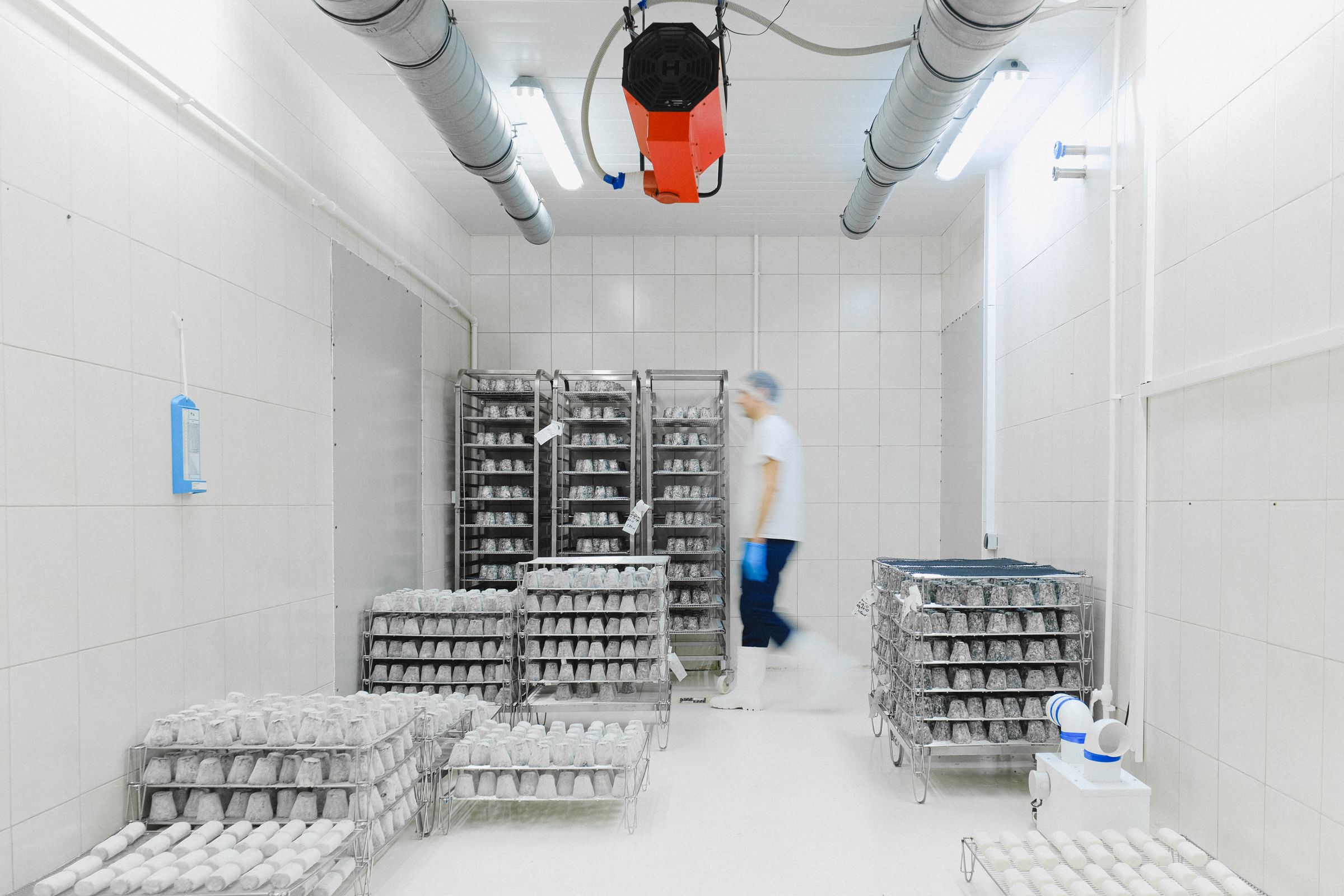 The inside of a white cold room with crates stacked on racks and a refrigeration unit on the ceiling.