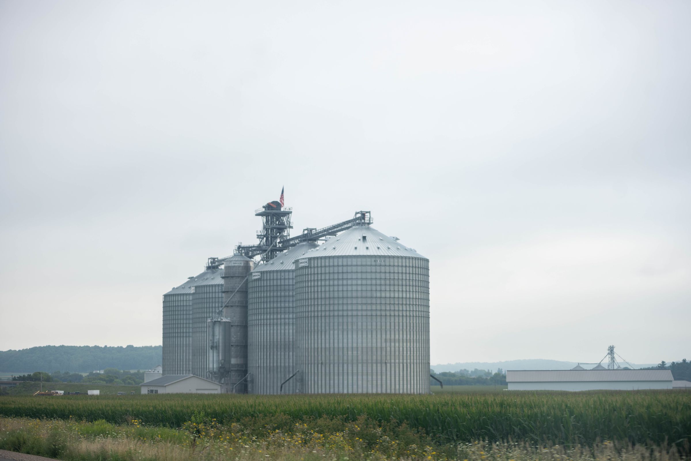 A grain silo complex with a tall tower and storage bins standing in flat green farmland under a pale sky.