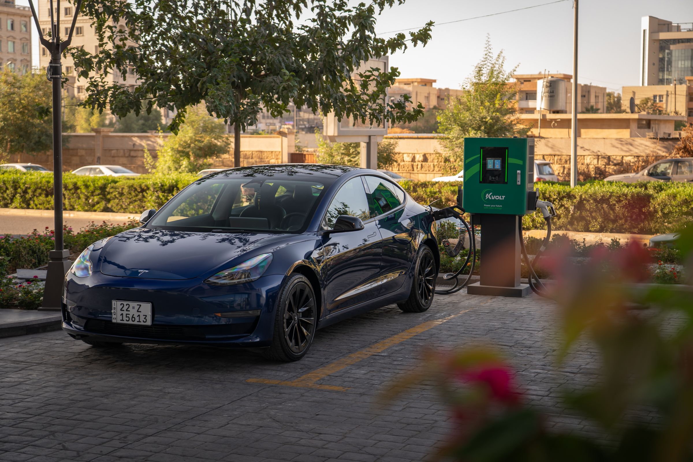 A dark blue electric car parked at a charging point on a tree-lined city street.
