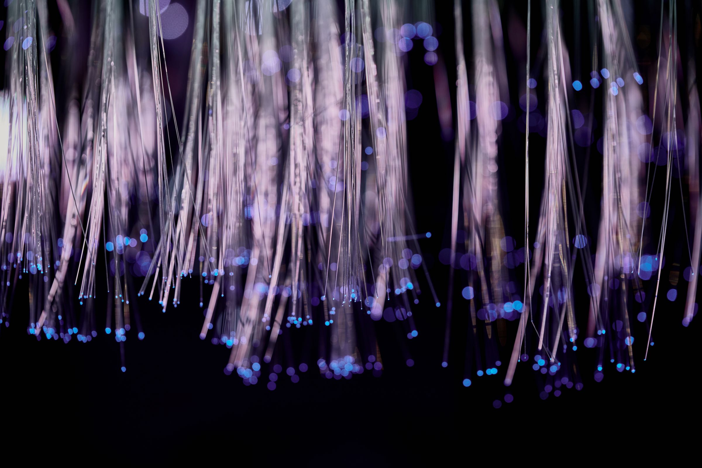 Strands of optical fibre glowing with purple and blue points of light against a dark background.
